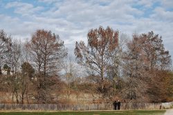 Deux personnages sur fond d'arbres roux