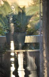 reflet mêlant silhouette appartement et jardin