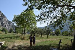 enfants de dos sur paysage arborés