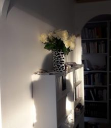 autoportrait aux livres